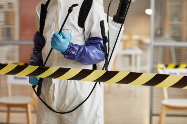 Professional Sewage Cleanup technician working in Stockbridge, WI